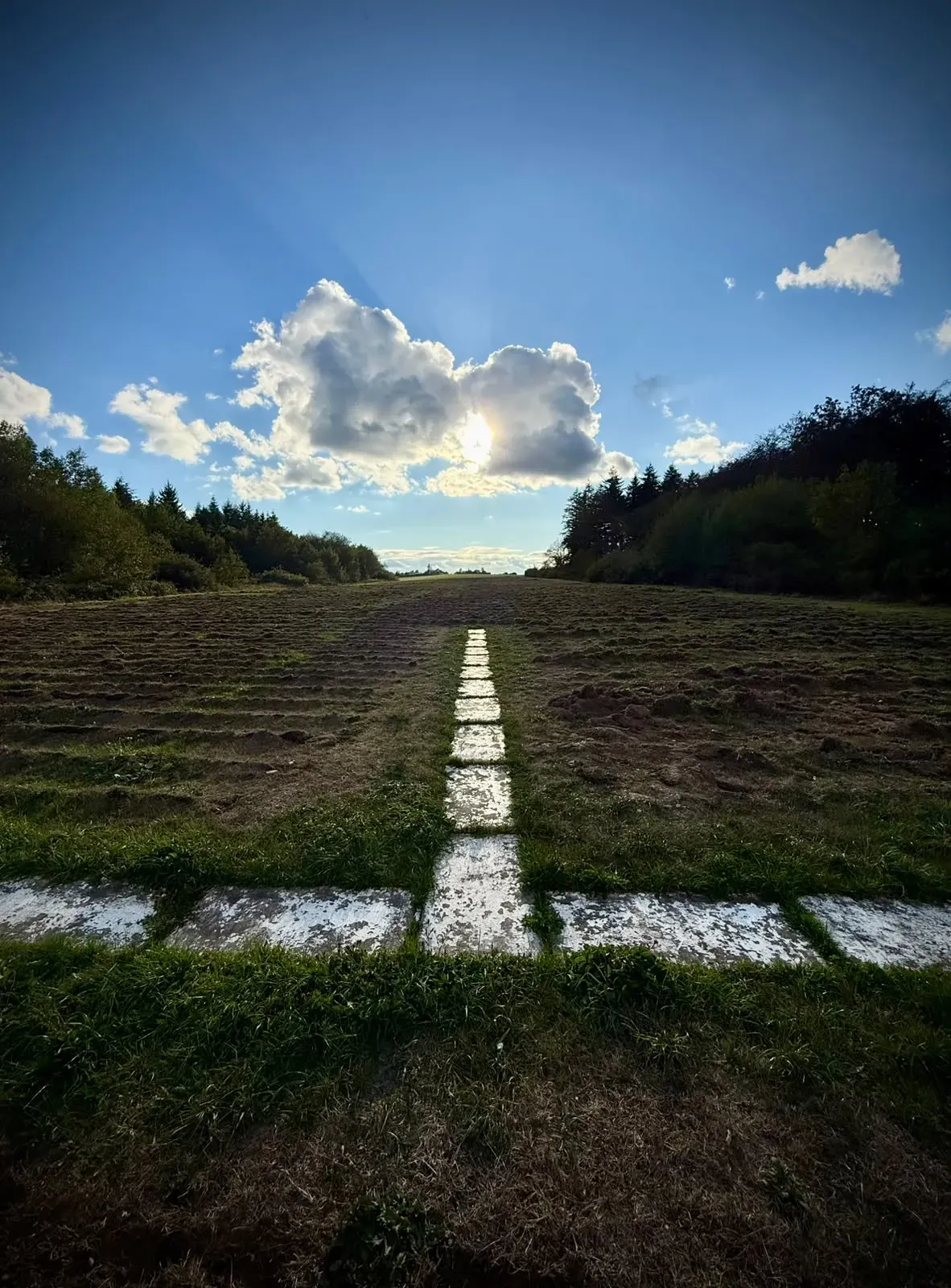 The painted runway markings in the foreground, with the freshly grooved surface running away towards the trees