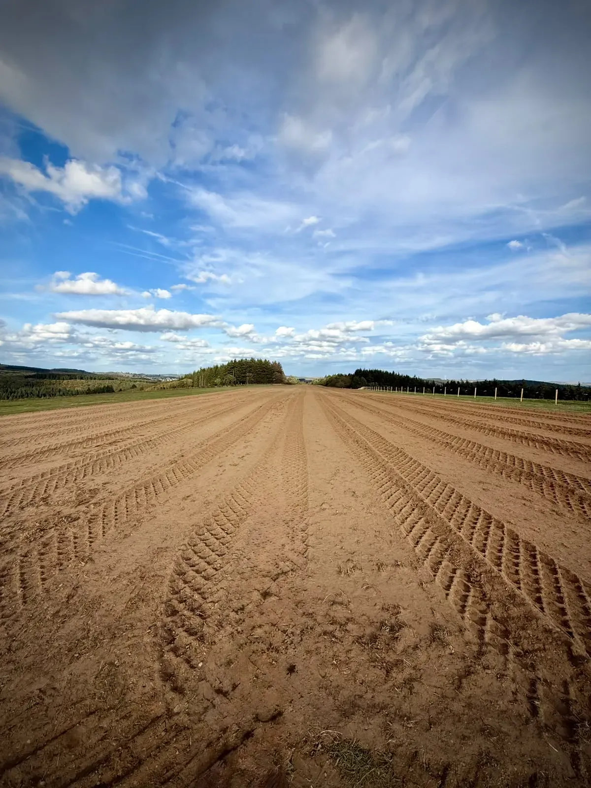 The bare earth runway after ploughing and rolling, looking towards the wooded end, with the fenced boundary on the right